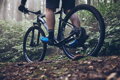 SHIMANO Pantofi ciclism SHXC502 albastru