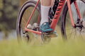 SHIMANO Pantofi ciclism SHRC502 damă albastru