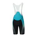 SHIMANO Pantaloni TEAM cu bretele negru/verde