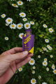 CHAMOIS BUTTR Krém ULTRA 142ml