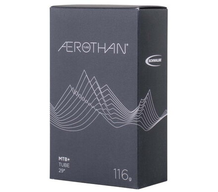 SCHWALBE Cameră SV19FE (62/75-622) 40mm 116g
