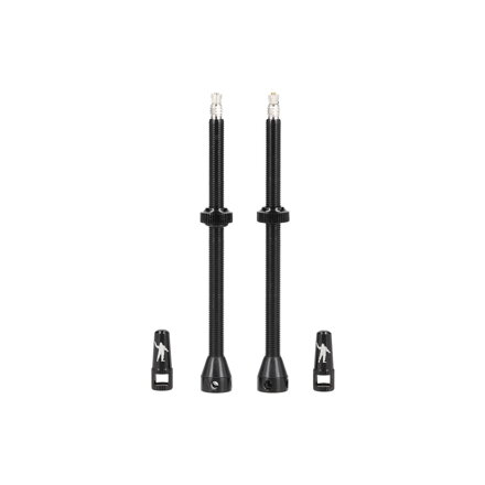 MICHELIN Ventil MICHELIN Tubeless 100mm 2ks